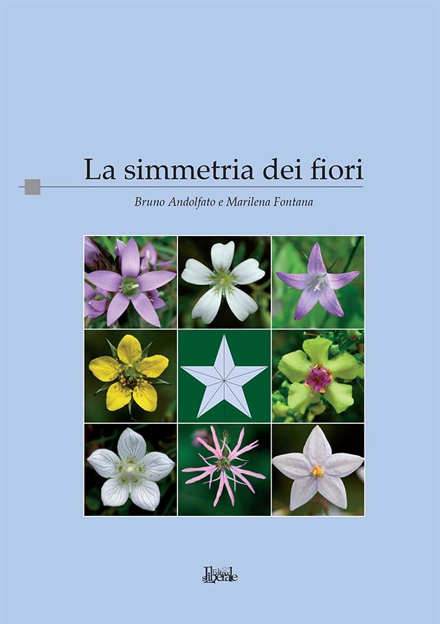 02-2011-La-simmetria-dei-fiori.jpg