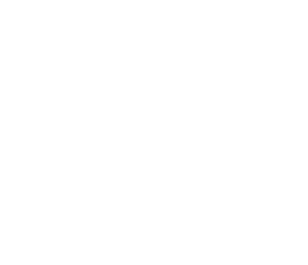 aps-logo-bianco